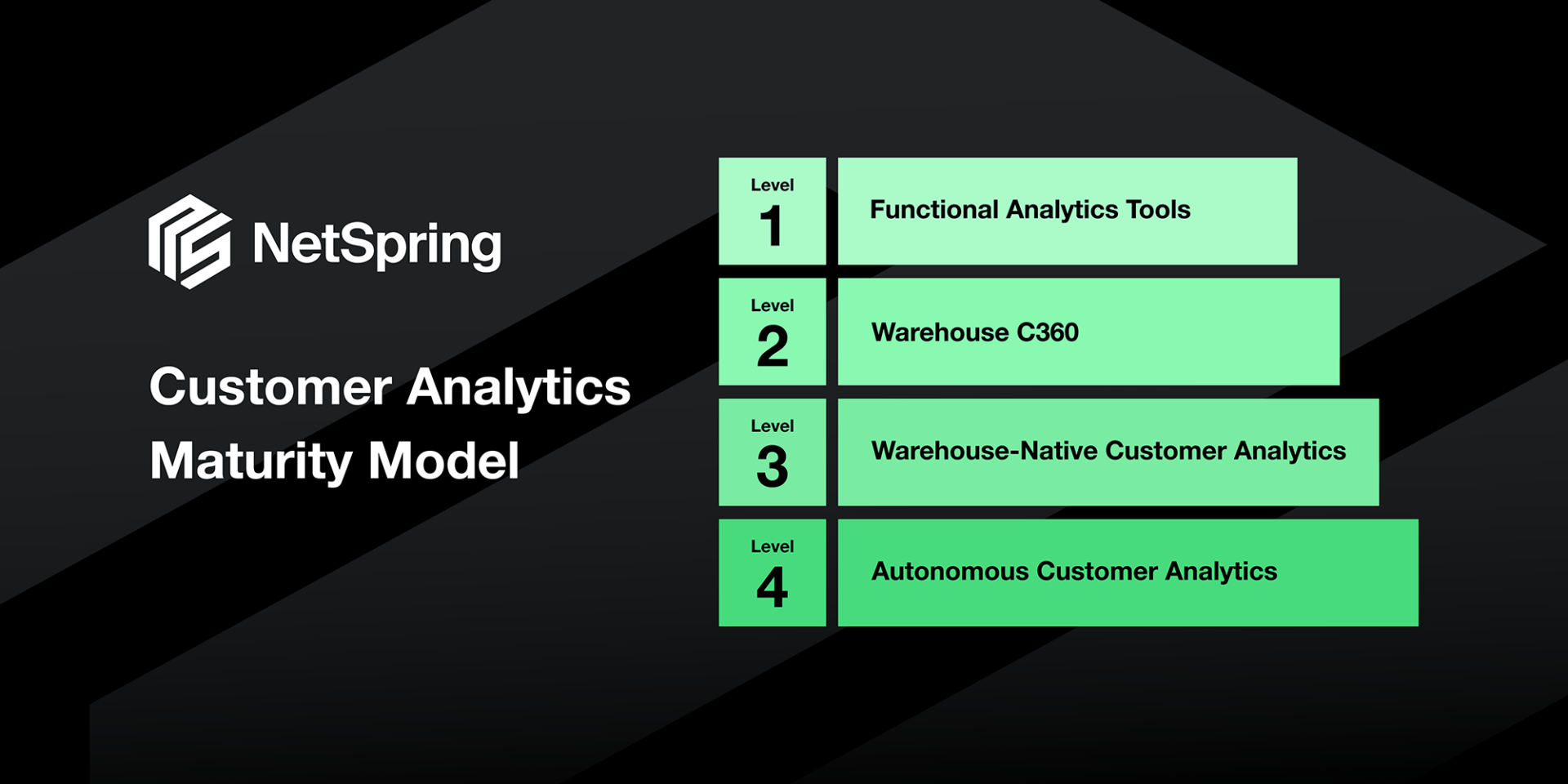 NetSpring | Maturity Model for Customer Analytics