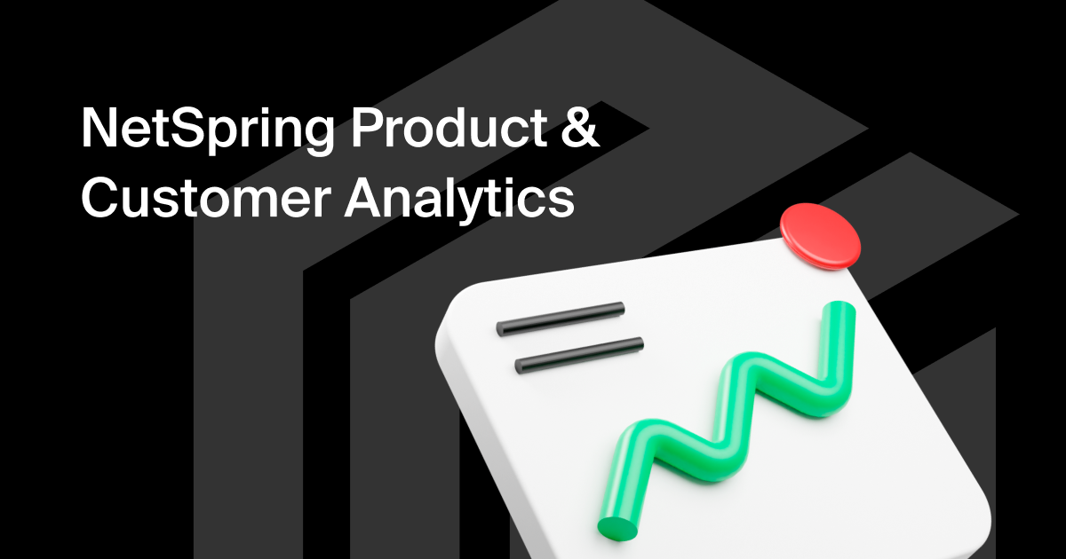 Product and Customer Journey Analytics | Netspring